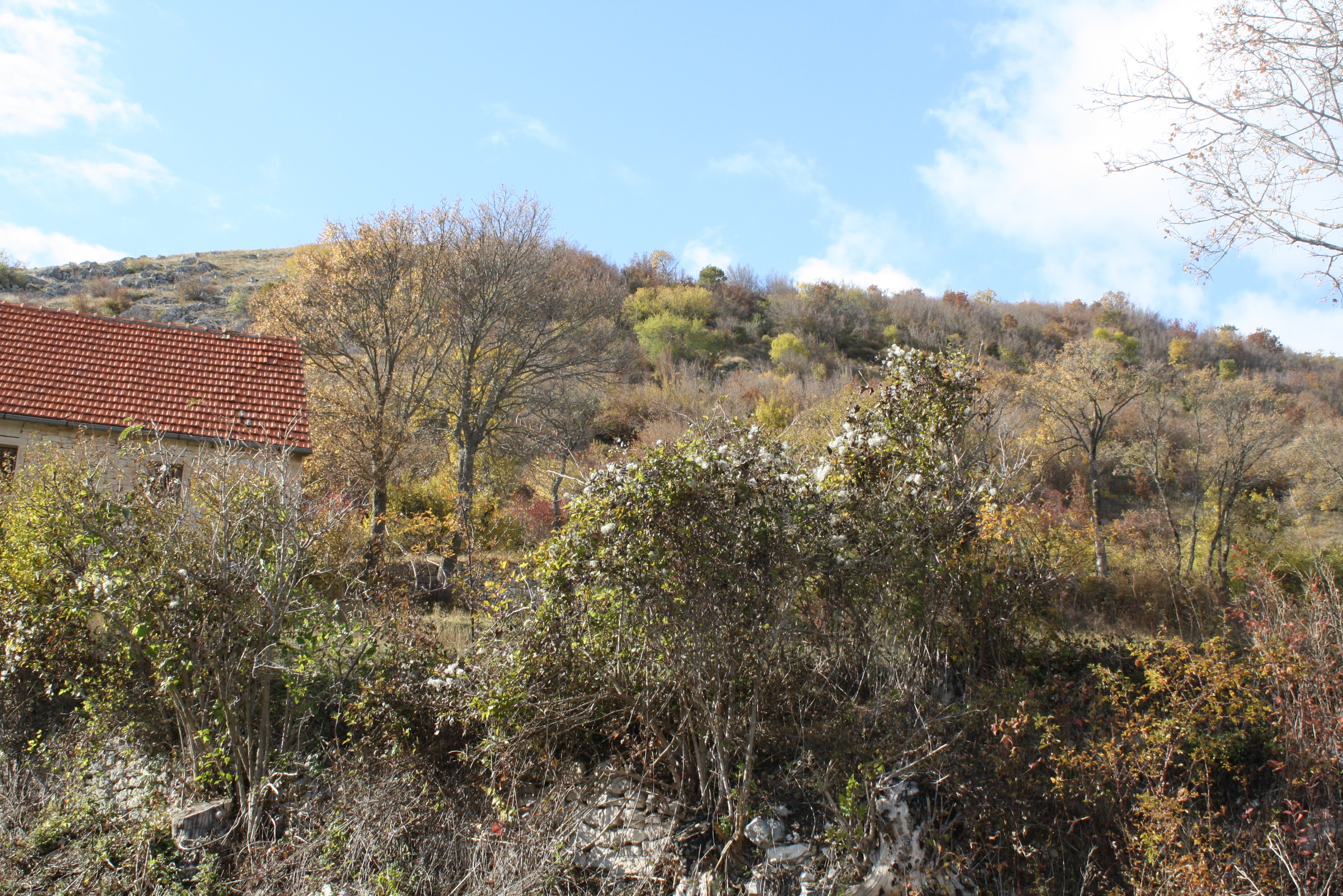 Prapovijesna gradina, željeznodobne grobnice, rimsko naselje, nekropola i pokretno naslijeđe u Vašarovinama, Priluka, arheološko područje